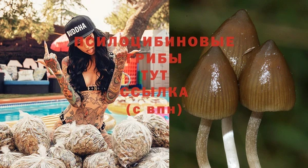 амф Аркадак