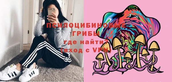 гидропоника Арсеньев